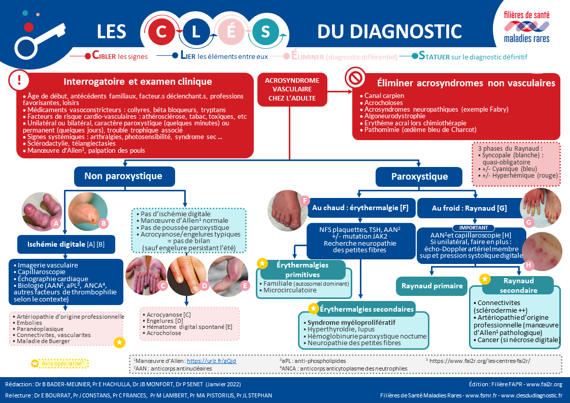 Schéma de la Clé du Diagnostic dédiée à l'acrosyndrome